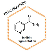 Ultra V- ETERNO- Niacinamide