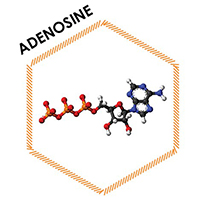Ultra V- ETERNO- adenosine