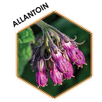 Ultra V- ETERNO- allantoin